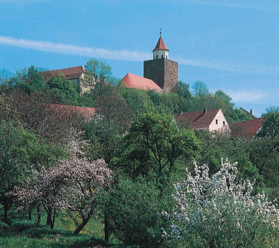 Blick auf die Burg Hohentrüdingen