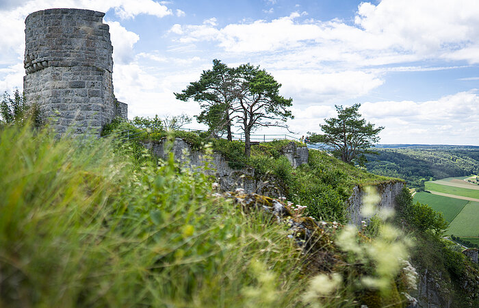 Ruine des Bergfriedes von Schloss Arnsberg