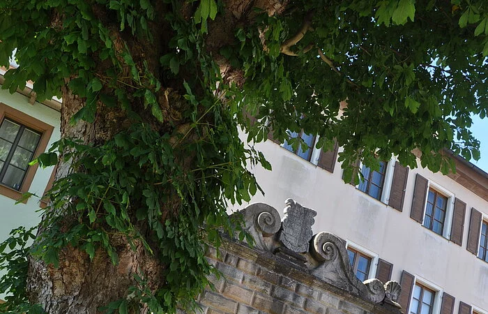 Der Torbogen zum Stadtschloss