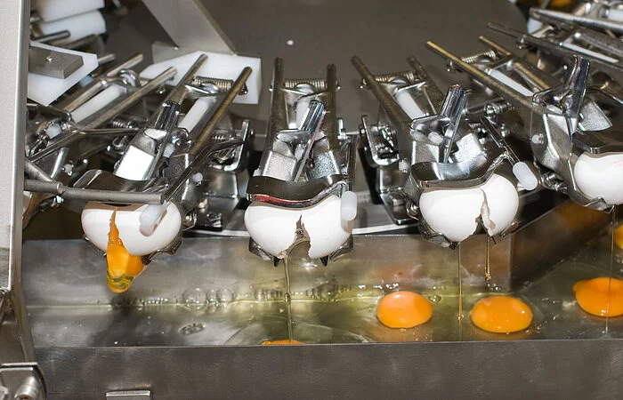 Headerbild der Direktvermarkter Schnell, Thalmässing (Altmühltaler Teigwaren)