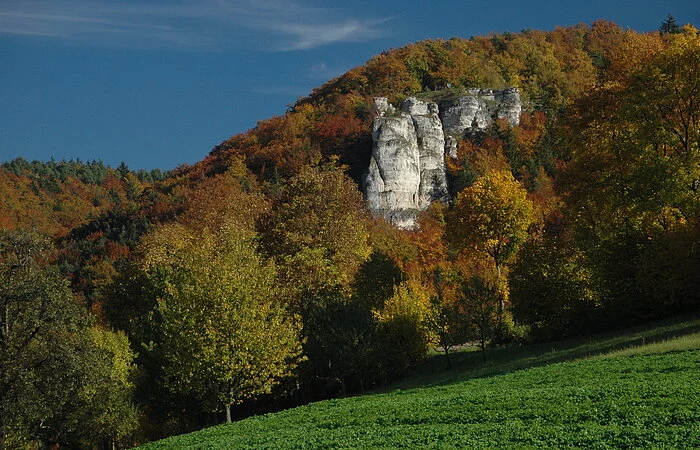 Der Kopffelsen in mitten von herbstlichen Laubbäumen, im Vordergrund ein Stück grüne Wiese und im Hintergrund blauer Himmel