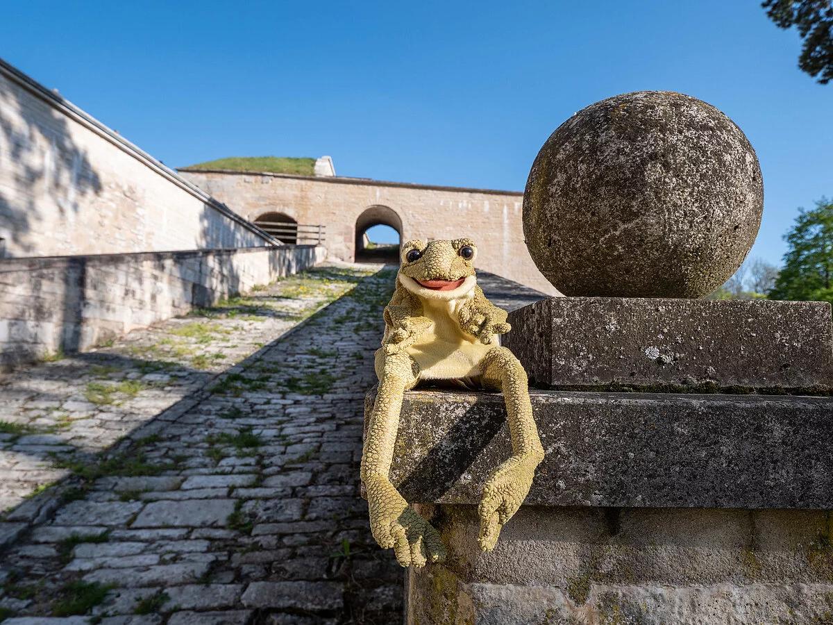 Kinderführung "Pippin aus dem tiefen Brunnen" Kinderführung über die Hohenzollernfestung Wülzburg mit Frosch Pippin.