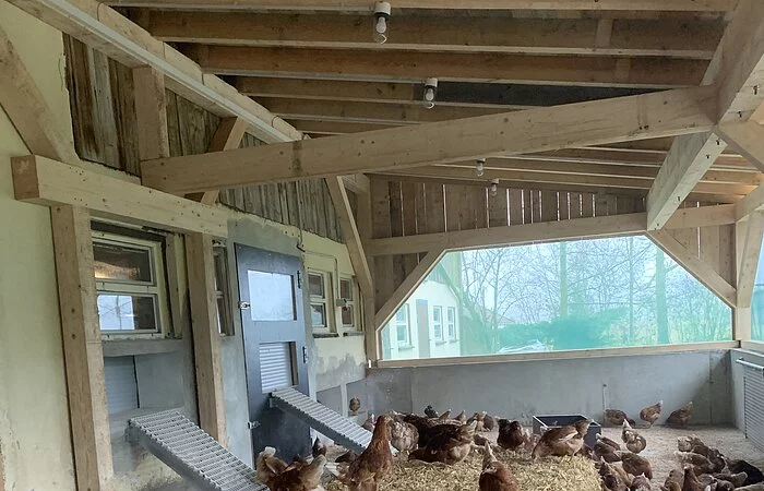 Hühner in offener Scheune