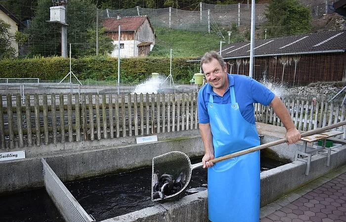 Fisch wird aus dem Wasser gehoben