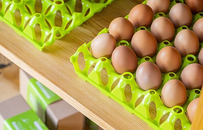 Eier in Palettenschachteln