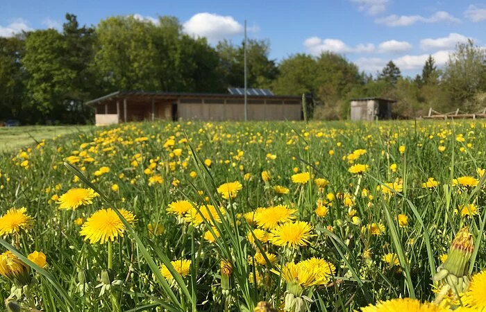 Bildnachweis Matthias Platzek