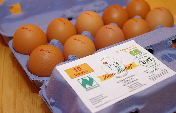 Eier in lila Eierschachtel