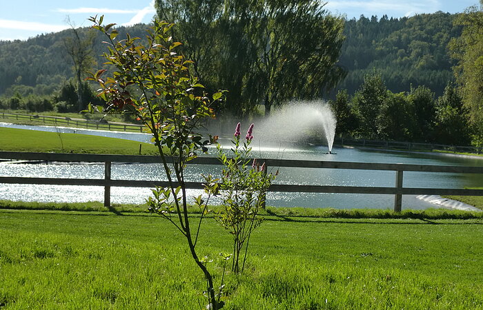 Golfplatz Springbrunnen