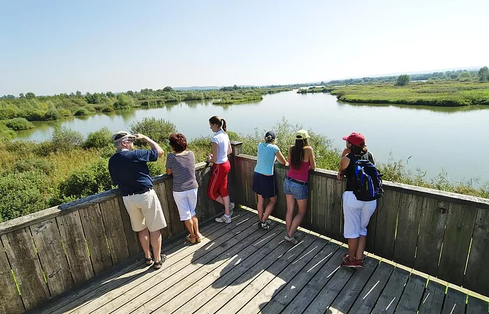 Die Besucher warten auf dem Aussichtsturm der Vogelinsel im Altmühlsee darauf, eine seltene und geschütze Vogelart entdecken zu können.