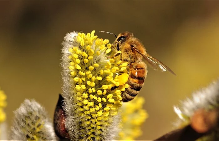 Foto von VDN Fotoportal. Fotografin muss informiert werden. ulrikeschmohl@gmx.de