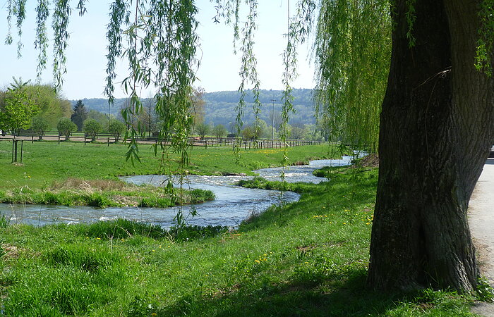 Sulzpark im Sommer