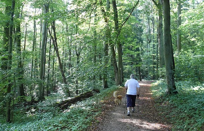 Ein Nordic Walker maschiert durch den Weinbergpark bei Roth.