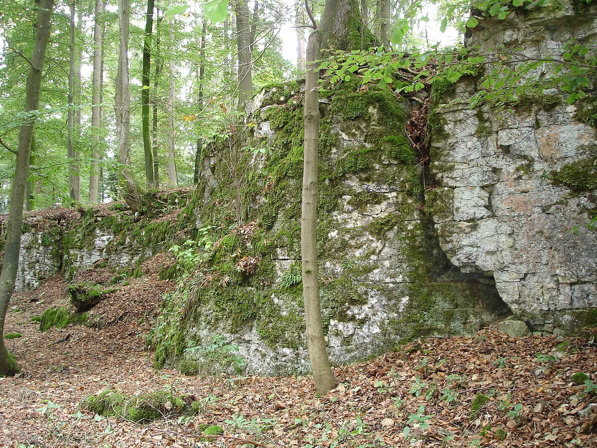 Ödenburg Mauerreste und Bäume im Hintergrund