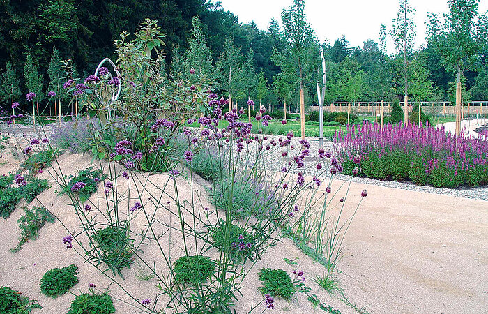 bepflanzte Sandhügel im Areal der Stadt-Gartenschau