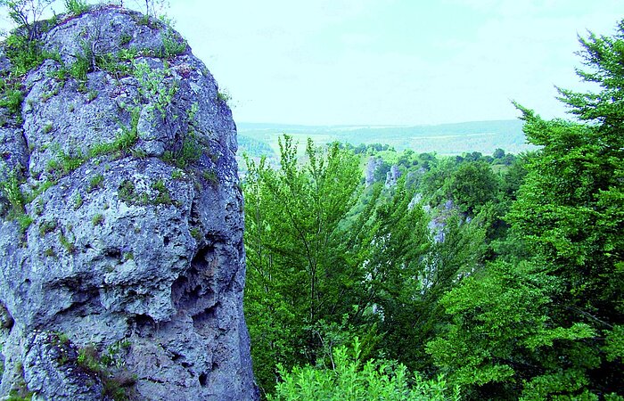 Ein Felskopf entlang des Hanges, von dem aus man einen hervorragenden Blick auf das Wellheimer Trockental hat
