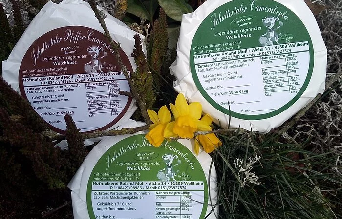 Drei verpackte Camambert mit braunem, grünem und hellgrünem Produktaufkleber liegen in einem Arangement aus Gras, Baummoos und Zweigen. In der Mitte und am unteren Rand des Bildes dekoriert mit Zwergnarzissen.