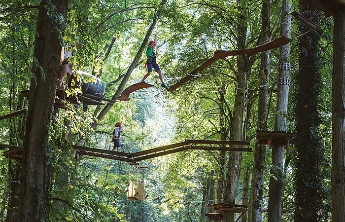 Hoch oben im grünen Blätterkleid der Bäume sind Kinder auf Brücken im Waldklettergarten Pappenheim unterwegs.
