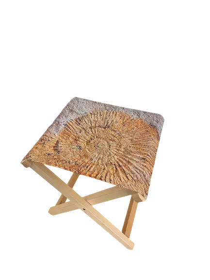 Zusammenfaltbare Fußstütze mit bedruckter Ablagefläche aus Stoff. Motiv: Ammonit-Fossil auf grauem Grund. Der Rahmen besteht aus hellem Holz.
