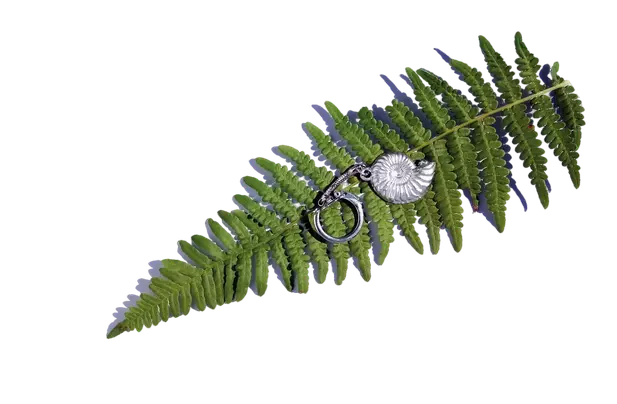 Der Schlüsselanhänger liegt auf einen Farnzweig gebettet