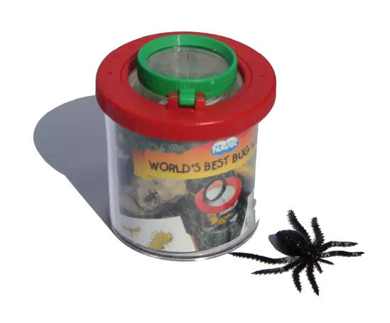 Eine Becherlupe zur Insektenbeobachtung, daneben eine Plastikspinne zur Veranschaulichung der Lupenfunktion.