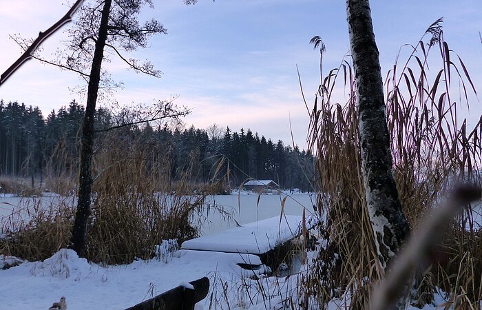 Der Roßköpfleweiher im verschneiten Zukunftswald Monheim