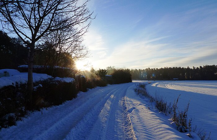 Der winterliche Zukunftswald Monheim - einen Spaziergang wert