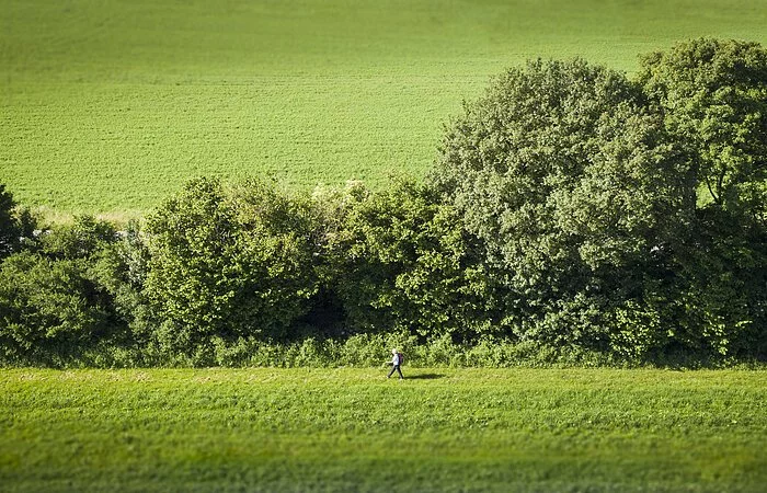 Ein Wanderer ganz klein in der Mitte des Bildes läuft an einer Hecke entlang - an dem schnurgerade verlaufenden Limeswanderweg.