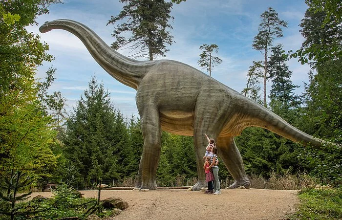 Eine vierköpfige, junge Familie bestaunt einen Dinosaurier aus Kunststoff, in voller Lebensgröße, auf einem Rundgang auf dem Besucherweg im Wald des Dinosauriermuseum Denkendorf.