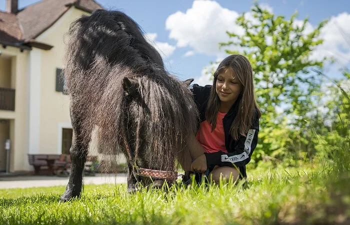 Grasendes Pony und kniendes Mädchen. Im Hintergrund ein Bauernhof und ein großer Baum