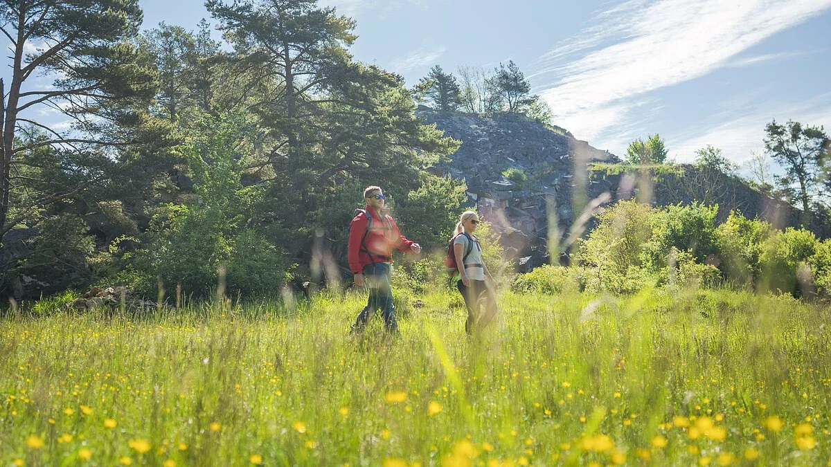 Steinbruch Treuchtlingen-13 Wanderer von der Natur umgeben auf einer Wiese und im Hintergrund Bäume und ein Berg
