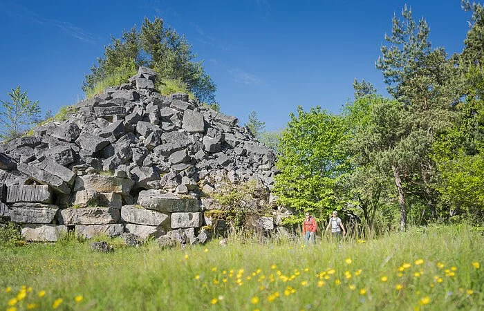 Schöne große Wies mit viel Platz und im Hintergrund einen Berg
