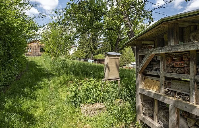Die Aufnahme zeigt ein Holzgebäude im Grünen. 
Im vorderen Bildbereich führt eine Auffahrt direkt auf das Gebäude zu. 
Die Fassade des Hauses ist ganz aus Holz und umrandet zwei quadratische Fenster und ein dunkelrotes Schild, auf dem in beiger Schrift „Lehrbienenstand“ steht. Hinter dem Gebäude stehen zwei Birken. Links und rechts der Auffahrt wachsen blühende Sträucher und Hecken.