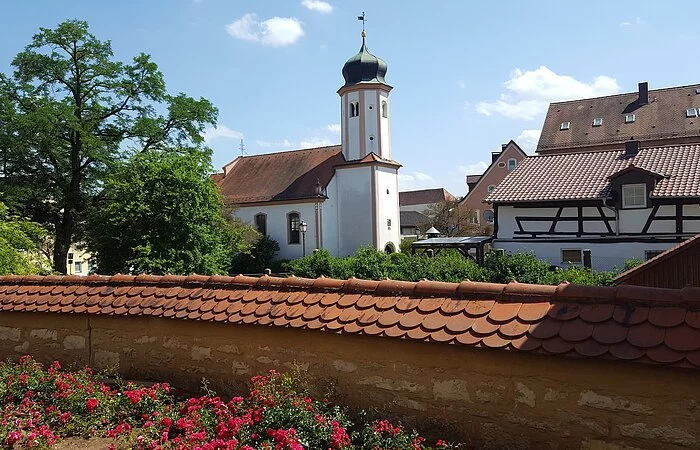 Im Vordergrund die Mauer des Stadtschlosses mit Rosen, im Hintergrund ist die Lambertuskirche und ein Fachwerkhaus zu sehen.