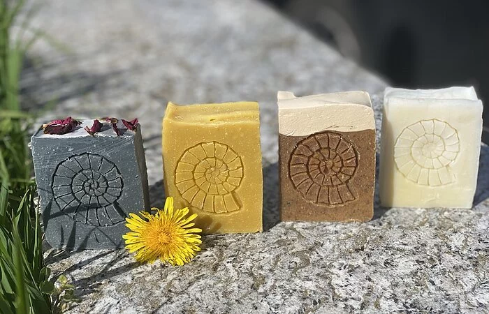 Verschiedene handgemachte Seifen reihen sich nebeneinander auf einem grauen Stein in den Farben grau, ocker, braun und weiß. Vor grauen Seife liegt eine Löwenzahnblüte. Auf den Seifen ist jeweils ein Ammonit eingezeichnet.