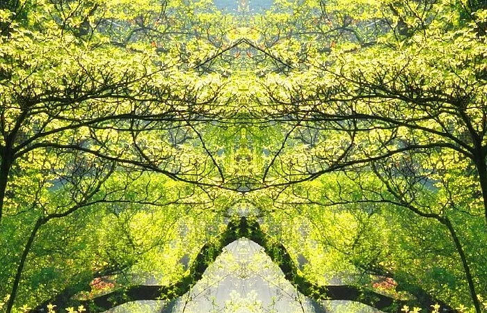 Eine rote Brücke über einem kleinen Bach. Umgeben von Grünen Bäumen durch die die Sonne strahlt.