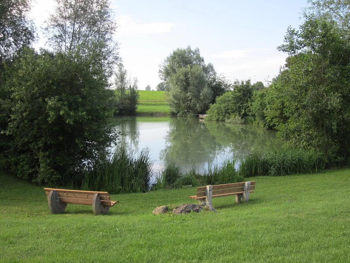 Ein Landschaftsweiher umegben von grünen Bäumen und Sträuchern. Am grasigen Ufer zwei gemütliche Bänke mit Blick auf den Weiher.