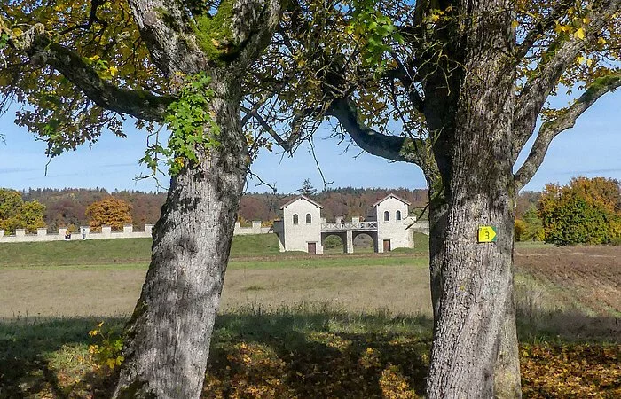 Blick durch zwei Bäume auf das Römerkastell in Pfünz