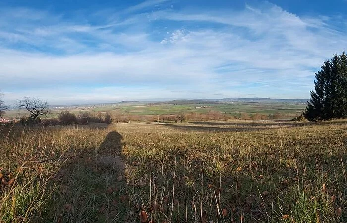 Großes braunes Feld unter blauem Himmel.