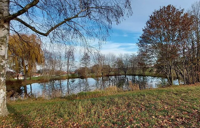 Ein keliner Weiher umgeben von herbstlicher Landschaft. Die kahlen Bäume spiegeln sich im Wasser.