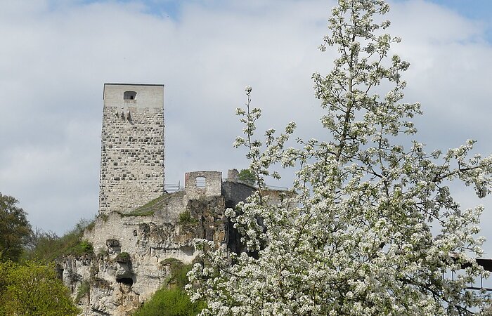 Burg Wellheim im Frühling