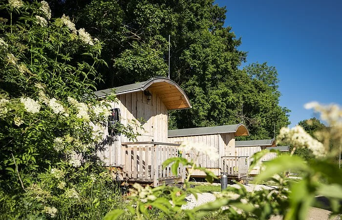 Die Schäferwagen aufgereiht inmitten grünen Büschen und Bäumen.