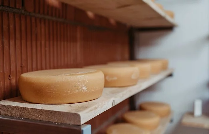 An einer Holzwand sind untereinander mehrere  Naturholzbrettern gefestigt. Darauf liegen nebeneinander fünf große Käselaibe. Zu sehen ist nur ein Bildausschnitt von zwei Brettern.