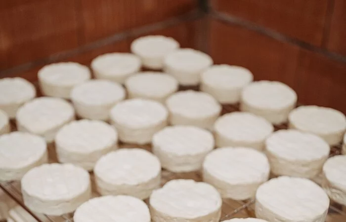 Mehrere Metallgitter mit darauf liegenden runden weißen Camemberts sind übereinander gestapelt. Auf jedem Gitter liegen ca. 30 Camemberts.