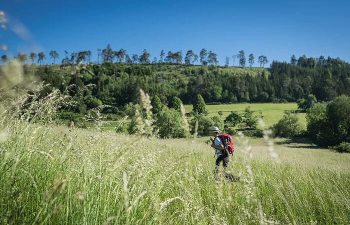 Wanderer im Morsbachtal