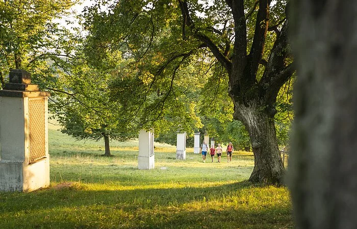 Eine Wandergruppe mit roten und blauen Shirts ist in der Ferne zu erahnen. Sie wandern inmitten grüner Wiesen, umgeben von Bäumen mit grünem Blätterdach. Rechts ist ein gemauertes Denkmal zu sehen.