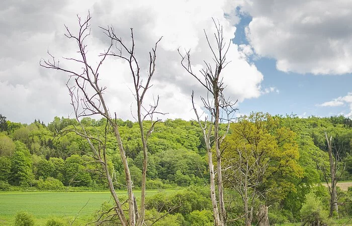 Zwei Damen auf Exkursion im Tal der Biber unterwegs