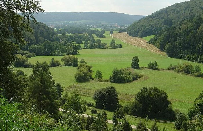 Blick vom Premerzhofer Berg in Labertal nach Dietfurt
