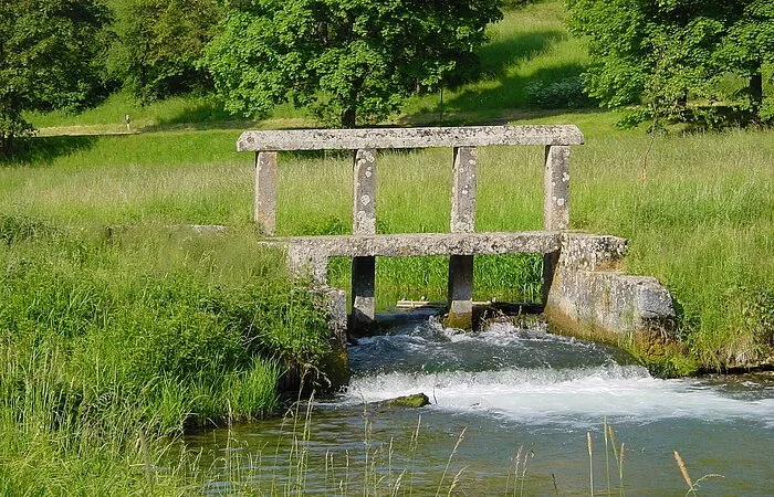 Ein Schwall an der Laber zwischen Dietfurt und Breitenbrunn