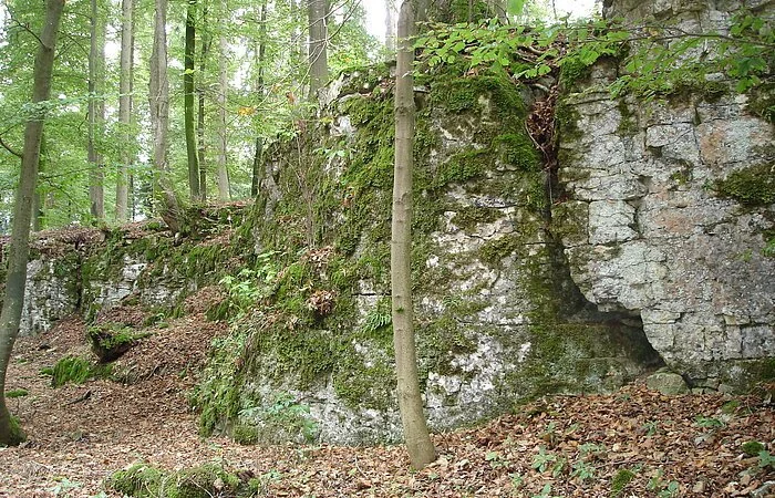 Mauerreste und Bäume im Hintergrund