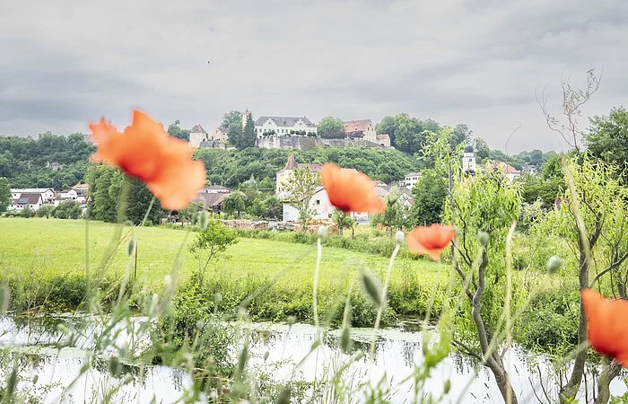 Aufnahme vor dem Möhrenbach. Blumen im Vordergrund. Im Hintergrund lassen sich das Dort Möhren inklusive Schloss erkennen.
